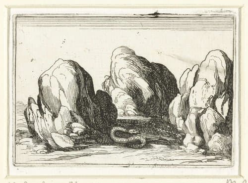 Vervellende slang by Jacques Callot