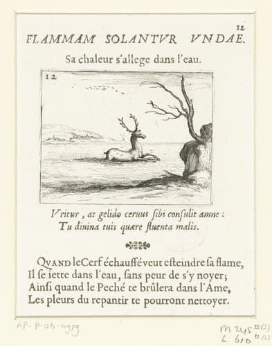 Flammam solantur undae/Sa chaleur s'allege dans l'eau by Jacques Callot