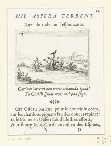 Vogel op een distel by Jacques Callot