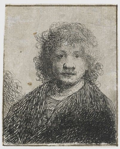 Self-portrait with a Broad Nose by Rembrandt van Rijn