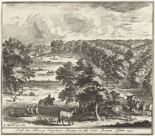Landschap met bomen in vogelvluchtperspectief