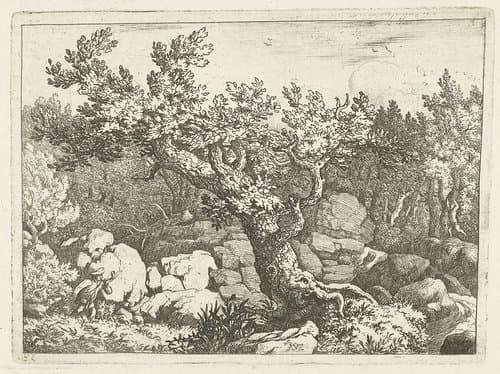 Landschap met jager bij grote boom by Allaert van Everdingen