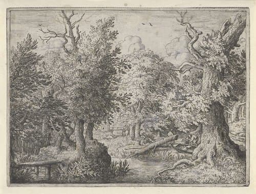 Beekje in het bos by Allaert van Everdingen