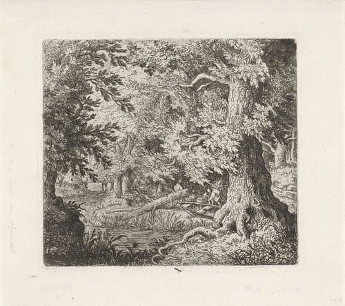 Beekje in het bos by Allaert van Everdingen
