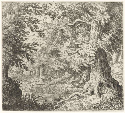 Beekje in het bos by Allaert van Everdingen