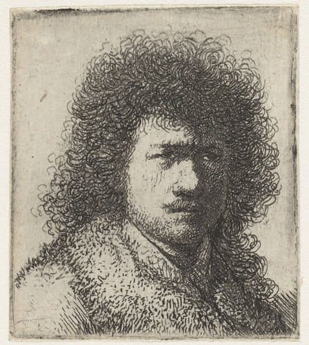 Self-portrait with bushy hair: bust by Rembrandt van Rijn