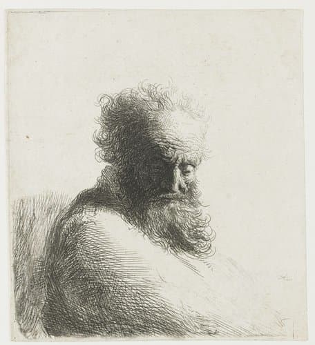 Bust of an old bearded man, looking down, three quarters right by Rembrandt van Rijn