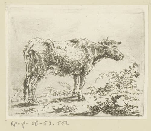 Koe naar rechts gewend by Johann Andreas Benjamin Nothnagel