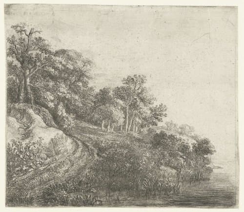 Heuvel met bebossing by Simon de Vlieger