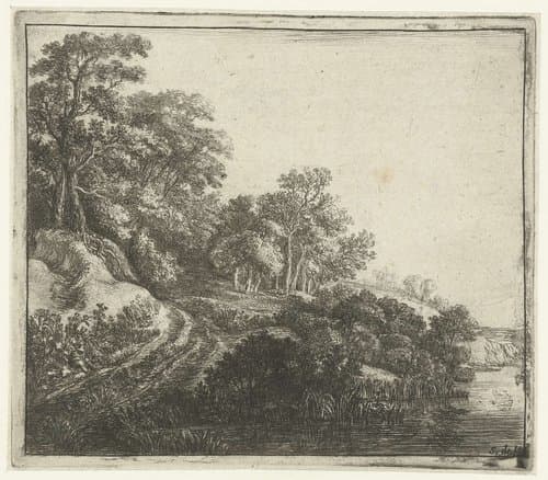Heuvel met bebossing by Simon de Vlieger