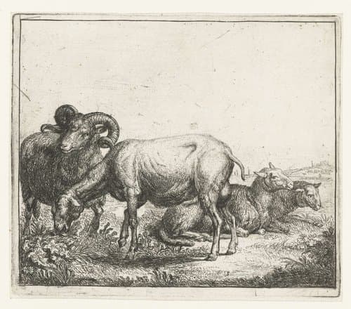Ram en ooien by Simon de Vlieger