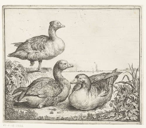 Drie ganzen by Simon de Vlieger