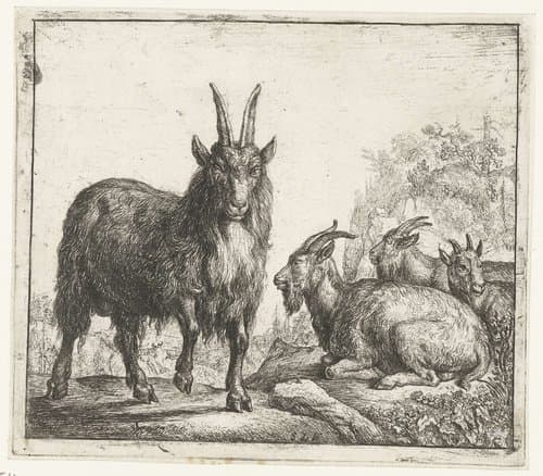 Vier geiten by Simon de Vlieger