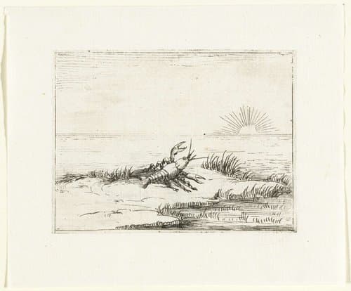 Een kreeft kijkt naar de zon by Jacques Callot