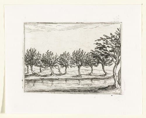 Wilgen langs een oever by Jacques Callot