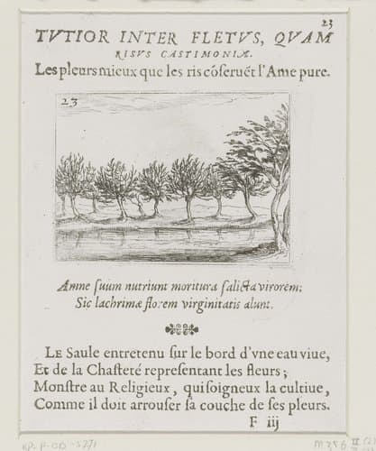 Wilgen langs een oever by Jacques Callot