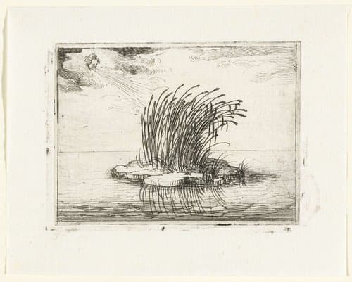 Rietstengels in de wind by Jacques Callot