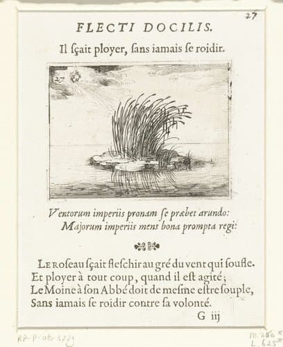 Rietstengels in de wind by Jacques Callot