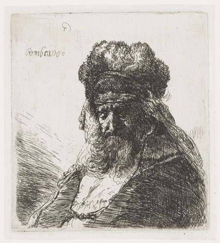 Bearded Old Man in a Fur Cap by Rembrandt van Rijn