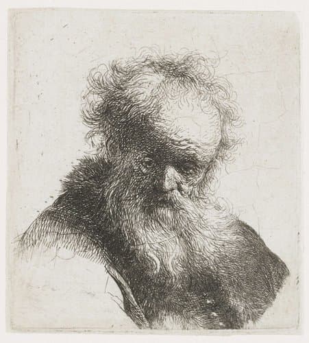 Oude man met lange baard, met witte mouw by Rembrandt van Rijn