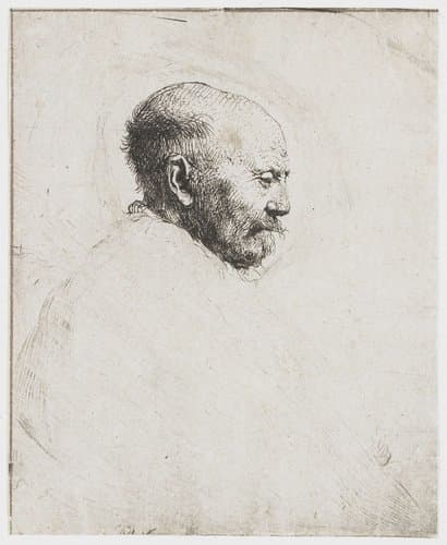 Kaalhoofdige oude man: profiel naar rechts; de vader van Rembrandt (?) by Rembrandt van Rijn