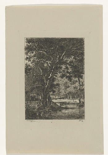 Bosgezicht by Cornelis Ouboter van der Griendt