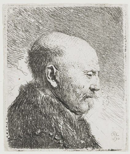 Kaalhoofdige oude man: profiel naar rechts; de vader van Rembrandt (?) by Rembrandt van Rijn