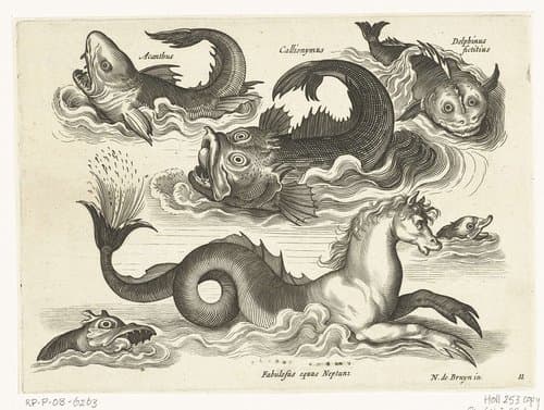 Fantastische waterdieren, onder andere zeepaard by anonymous