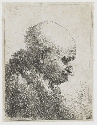 Bald headed man in profile right: small bust, the artist's father (?) by Rembrandt van Rijn