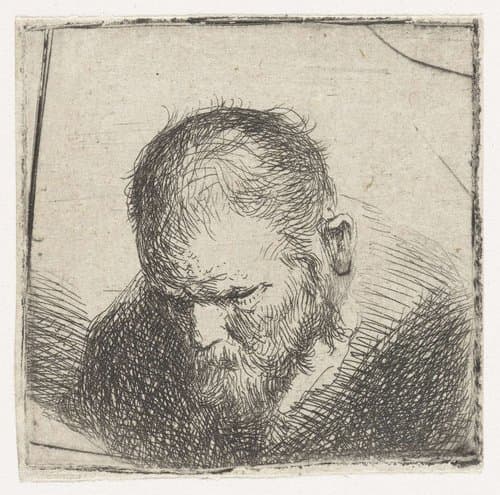 Man met baard by Jan Lievens
