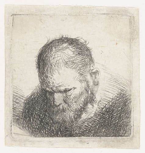 Man met baard by Jan Lievens