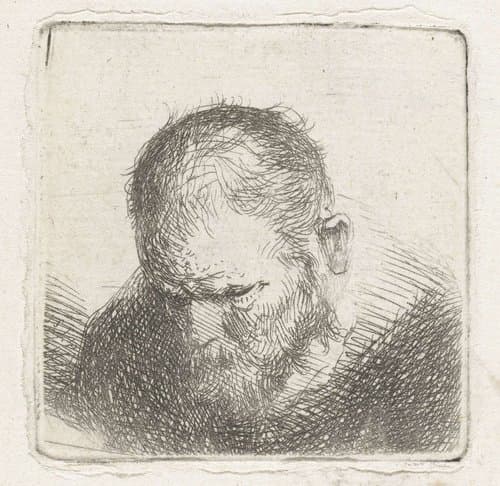 Man met baard by Jan Lievens