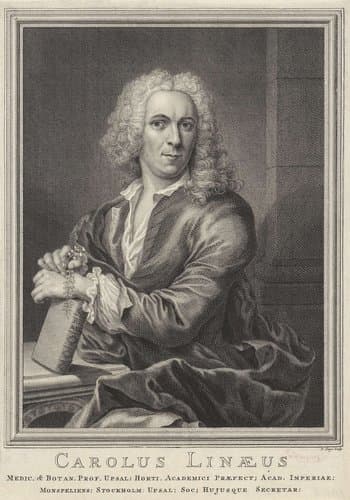 Portret van Carolus Linaeus by Pieter Tanjé