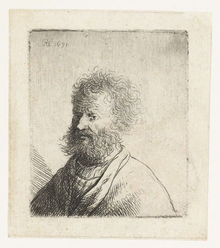 Buste van een oude man met krullend haar by Rembrandt van Rijn
