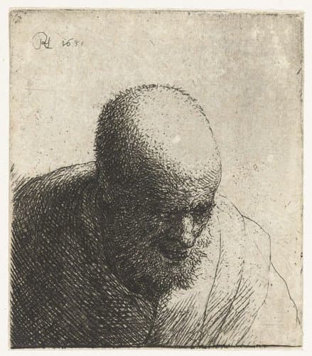 Buste van een kale man by Rembrandt van Rijn