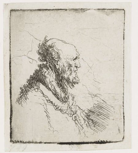 Kale oude man met korte baard by Rembrandt van Rijn