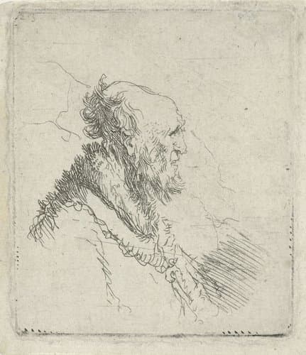 Bald old man with a short beard by Rembrandt van Rijn