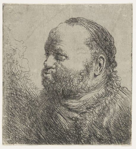 Borstbeeld van een man met dikke lippen by Jan Lievens