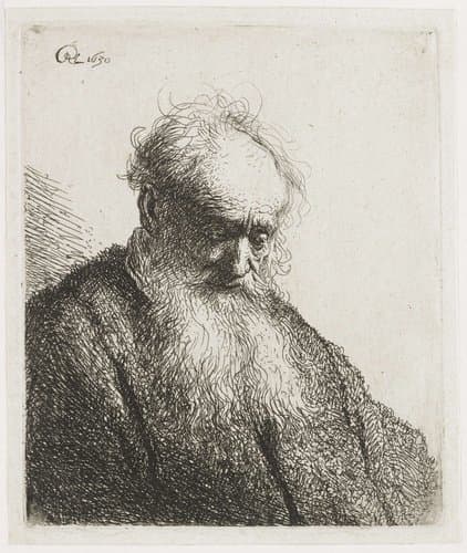 Old Man with a Flowing Beard by Rembrandt van Rijn