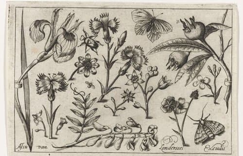 Bloemen en vlinders by Nicolaes de Bruyn
