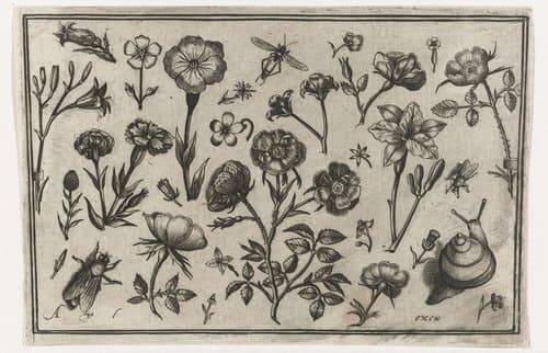 Bloemen, een vlieg en een slak by Nicolaes de Bruyn