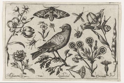 Bloemen by Nicolaes de Bruyn
