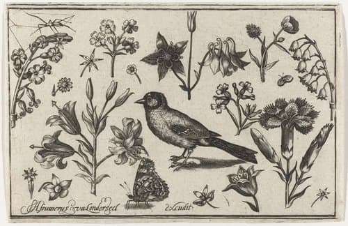 Bloemen, vlinder en een vogel by Nicolaes de Bruyn