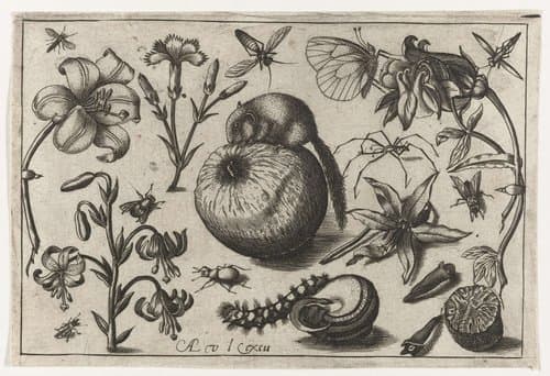 Bloemen en een muis op een appel by Nicolaes de Bruyn