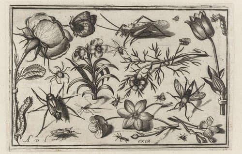 Bloemen en insecten by Nicolaes de Bruyn