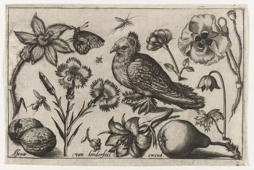Bloemen, een peer en een duif by Nicolaes de Bruyn
