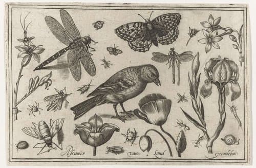 Bloemen by Nicolaes de Bruyn