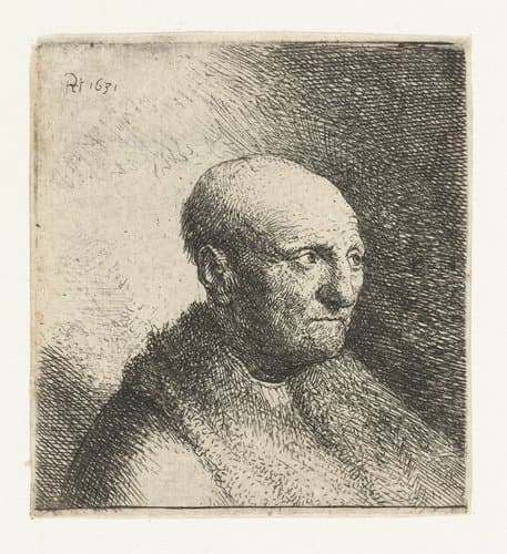 Buste van een kale man met bontjas by Rembrandt van Rijn