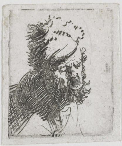 Kop van een man met bontmuts, schreeuwend by Rembrandt van Rijn