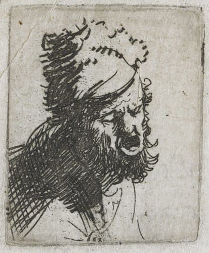 Head of a man in a fur cap by Rembrandt van Rijn